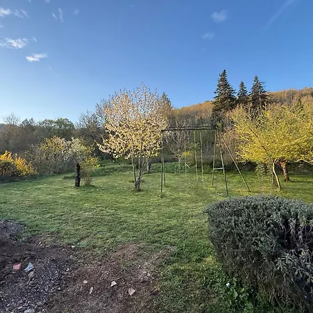 Feriehus Maison Dans Grand Parc Au Pied Du Village Bruniquel